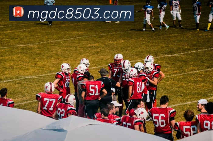 满贯体育发展历程